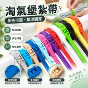 彩色雙扣環保紮帶 束線帶捆綁帶 規格紮帶 100條裝 彩色束帶 兒童樂園搭建固定淘氣堡使用連接淘氣堡專業彩色雙扣環保紮帶