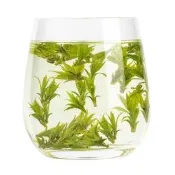 【品質驗證】2026新茶上市頭採嫩芽小葉苦丁茶特級青山綠水茶葉正品官方旗艦店