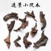 【臺灣出貨】天然小沉木秒沉紫柚木魚缸造景水族微景觀烏龜缸蝦缸躲避非杜鵑根