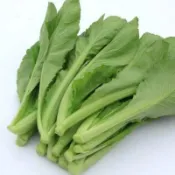 #雪裡紅種子#小芥菜#甜辣菜，一匙40元，約19g
