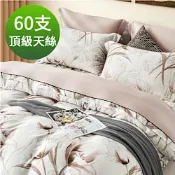 Saint Rose 頂級60高支數天絲 艾杜莎 雙人 百貨專櫃款100%天絲兩用被床包四件組