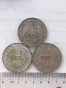 3沒南非粘伊麗莎白二世跳玲1刻朗銀幣50%銀28.3刻單選每沒-158907