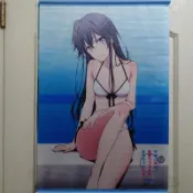 【買動漫】果青 果然我的青春戀愛喜劇搞錯了 雪之下雪乃 B2掛軸 泳衣ver.