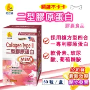 柏之暢 二型膠原蛋白 60粒/盒 (最低449) 葡萄糖胺 關立固 益節 製造廠榮獲ISO22000&HACCP 現貨