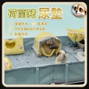 XL和LX小寵穿搭所 【XL-LX】荷蘭豬 豚鼠籠子尿墊 侏儒兔籠尿兜 可水洗 寵物尿布墊 兔子尿布 天竺鼠用品 尿布 止滑墊 不沾尿 寵物用