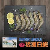 【勝藍】鮮甜馬來西亞白蝦500g淨重/泰甜蝦規格26/30*大白蝦/約13隻/非泰國蝦/