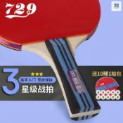 臺灣熱銷 比賽用單拍 橫拍 直拍 長柄橫拍 短柄直拍 球拍 桌球拍 乒乓球拍 桌球 乒乓球拍組 桌球拍套729乒乓球PP