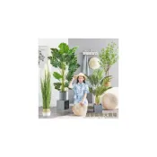 (店+)樹 龜背葉 琴葉榕 大型北歐ins風旅人蕉天堂鳥客廳落地假盆栽景植物擺件樹