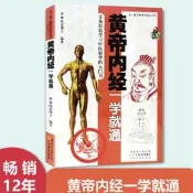 黃帝內經一學就通 一目了然學中奰翊 中奰翊四大名著原著原文中奰翊基礎理論入門臨床必讀書籍黃帝內經奰囌問靈樞白話版皇帝內經