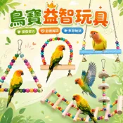 🐦鸚鵡玩具 鸚鵡樓梯 鸚鵡鞦韆 鸚鵡吊橋 鳥玩具 鸚鵡盪鞦韆 鳥鞦韆 鸚鵡攀爬 鳥玩具鞦韆 文鳥鞦韆 鳥盪鞦韆 鸚鵡站棍