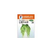 (店+)(SV-500)山東大白菜 蔬果 種子 小包裝 本包種子約150粒