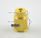 【布魯斯】全新 前輪 前叉 快拆延伸燈座 適用公路車 金色