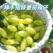 【綠手指綠番茄種子 】家庭菜園 陽台盆栽 園藝DIY 四季播種 蔬果種子 老品種 傳家寶 可食用 稀有品種 新鮮包裝