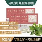 SPOTLESS 植靠淨 淨冠寶膠囊-魚腥草除廢配方6盒組(含有紫蘇葉.薄荷葉/草本配方)