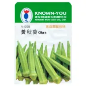 (店+)【天橙種子】黃秋葵種子 V-005 約25粒 蔬果種子 農友種苗 彩色原包裝
