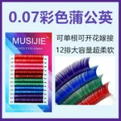 🌸🔹甄美睫館🔹🌸時尚款5/6彩色一秒開花毛型編織開花毛0.05/0.07粗B/C卷混裝盒假睫毛自然逼真裸妝濃密嫁接睫毛睫