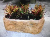 FRP仿石 蓮花池 睡蓮池 景觀魚池 景觀水池 景觀花台 花盆 陽台
