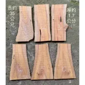 台灣櫸(紅雞油)木板/鹿角蕨、蘭類栽種上板/隔熱墊/藝品盆景陶藝擺設底座/置物墊／木質墊片