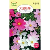愛上種子 大波斯菊【花卉種子】 天星牌 花卉小包裝種子