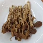 『老古意Old Good Eat 』茶樹菇 柳松茸 100公克