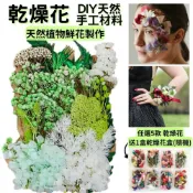 【康是美官方網購】【A-ONE】不凋花藝材料包 蓬萊松 浮游花材料包 永生蓬萊松 壽松 花盅配件 手作花材 花藝設計 C14 秋色怡人_廠商直送