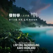 蘇門答臘 林東 藍湖 凱洛高地 三次手挑曼特寧_接單現烘咖啡豆