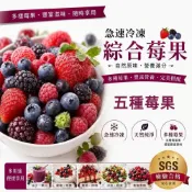 (店+)【誠麗莓果】冷凍綜合莓果五種1kg 混合莓果( 黑莓 蔓越莓 草莓 藍莓 覆盆莓)  冷凍水果 冷凍食品 誠麗莓果