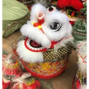 【兒童專用】舞獅頭 舞龍舞獅 醒獅 舞獅頭塑料 6寸 8寸 舞獅道具 醒獅擺件 舞龍 節慶裝飾 傳統表演道具