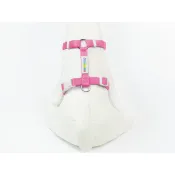 PETRICK Basic Harness 派翠克 經典款H型胸背帶 XL號 /A區色系