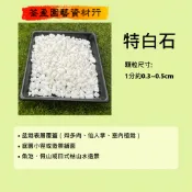 特白石/500克/1公斤/白卵石/白色石頭/台中/荃盈園藝資材行/台灣現貨