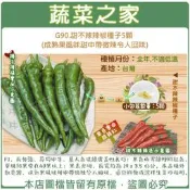 【蔬菜之家滿額免運】G90.甜不辣辣椒種子5顆 (成熟果風味甜中帶微辣令人回味)