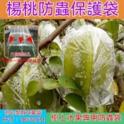 優選特賣🎉適用樹上水果保護袋 楊桃甜石榴軟粒番石榴防蟲專用有耳 芭樂套袋 水果網袋 水蜜桃套袋 紗網袋 透氣薄膜袋