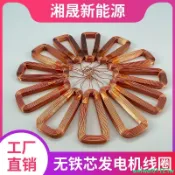💗台灣新品甩賣💗DIY盤式無鐵芯發電機線圈 三相 低電 高效率 自粘線圈 永磁