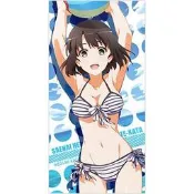 【秋葉猿】正日版9月預購 不起眼女主角培育法 加藤惠 泳裝 毛巾 浴巾 實體商店
