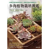 【momoBOOK】多肉植物栽培圖鑑：認識不同多肉植物的魅力，輕鬆打造迷你綠植空間(電子書)
