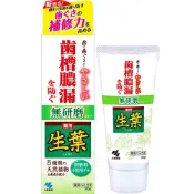 【DOKODEMO】小林製藥藥用鮮葉未磨型（95G）