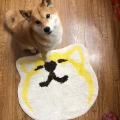 倉屋 大臉柴犬表情防滑地墊  四款