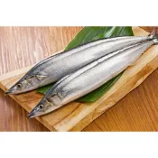 紅毛港海鮮市集 特選一號秋刀魚  表皮完整 肉質肥美 新鮮 海鮮 烤秋刀魚 烤肉 日本燒烤專用 秋刀