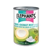 【雙象地球牌】嫩椰子肉片(425g)