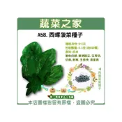 (店+)【蔬菜之家】A58.西螺菠菜種子6.5克(約500顆)  有藥劑處理(葉淡綠 葉柄挺立 抗病 耐寒 生長快 產量高 蔬菜 菠菜)