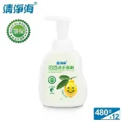 清淨海 環保洗手慕斯(檸檬飄香) 480g*12入