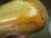 《紀老師的收藏-250 》〈玉原石系列〉海洗優選玉化明顯彩色菊花玉〈500公克→e63    (※聚氣、招財、保平安、心想事成)