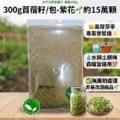 【太平洋芽菜種子】300g苜蓿籽/包-紫花🌱約15萬顆👑高發芽率專業芽菜級✨水耕土耕梅森罐適用💯無藥劑處理✅非基改頂級品