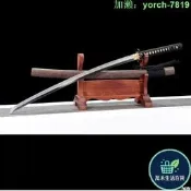 【桃園出龍泉劍武長居太肋差長劍katana未刃