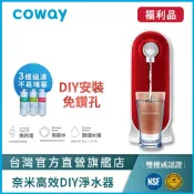 Coway 淨水器 三道奈米級高效過濾 P 250 N 福利品 DIY組 符合sgs生飲標準 P-250N 一年原廠保固