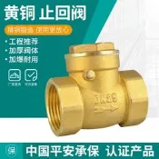 【臺北現貨】全銅止回閥銅臥式4分6分1寸水泵DN15水管20止逆閥25閥門32 40 50