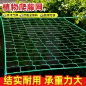 熱銷🔥爬藤網 種植網 攀爬網 搭架網 爬藤網植物攀爬架花卉蔬果爬藤網百香果黃瓜綠蘿種植網防鳥瓜棚網