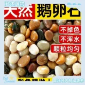 台灣出貨 免運 百貨 生活 居家 鵝卵石 小石頭 雨花石 裝飾小庭院魚缸原石水培景觀裝飾鵝卵石鋪陽臺