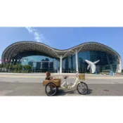 組裝到好 台灣保利 BAOLI 經典 20吋 三輪車 餐車 攤車 高雄 腳踏車 攤販 街車