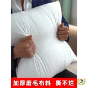 全球選品1館 生活百貨 ✅抱枕芯內膽沙發枕芯家用靠墊芯45x45抱枕心50x50靠背內芯40靠枕